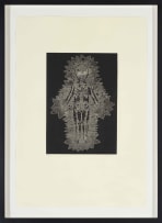 Walter Oltmann; Lace