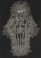 Walter Oltmann; Lace