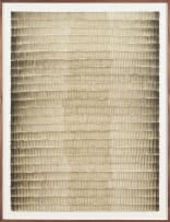 Cathy Abraham; Sepia Shadow Ghost