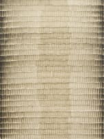 Cathy Abraham; Sepia Shadow Ghost