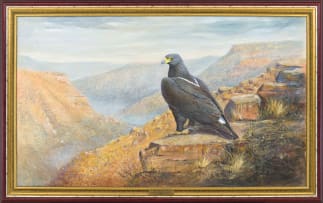 Graeme Arnott; Verreax Eagle