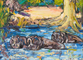 Zakkie Eloff; Hippos