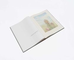 John Patrick Rourke and Thalia Lincoln; Mimetes: An Illustrated Account of Mimetes Salisbury and Orthamnus Pappe, Two Notable Cape Genera of the Proteaceae