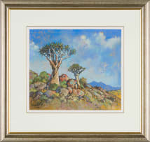 Conrad Theys; Quivertrees, Kokerbome, Namakwaland
