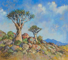 Conrad Theys; Quivertrees, Kokerbome, Namakwaland