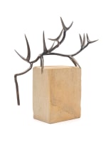 Lynette ten Krooden; Thorn