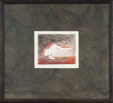 Nicolene Swanepoel; Reflection