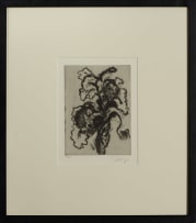 William Kentridge; Iris