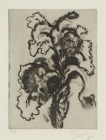 William Kentridge; Iris