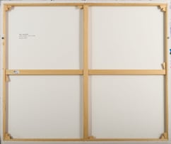 Paul Blomkamp; Electric Karroo