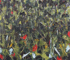 Asanda Dredunik Kupa; Major