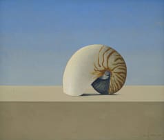 Wim Blom; Nautilus
