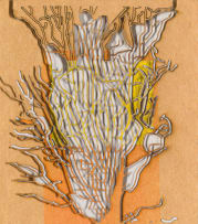 Lyndi Sales; Chinese Wish Paper