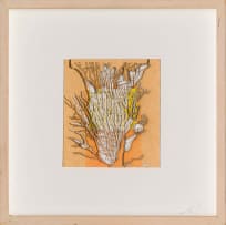 Lyndi Sales; Chinese Wish Paper