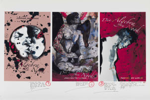 Christiaan Diedericks; Untitled (Angel I); Untitled (Angel II); Play with Me; Die Algebra van Nood, four