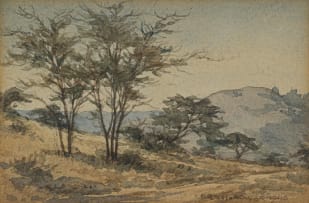 Erich Mayer; Boompies en Berge/Trees and Mountains