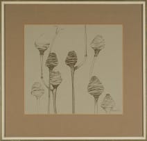 Michael Heyns; Seedpods