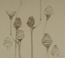 Michael Heyns; Seedpods