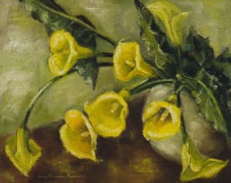 Bettie Cilliers-Barnard; Yellow Calla Lilies