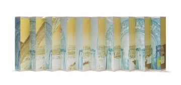 Martine Jackson; Glass Cabinet + Landscape
