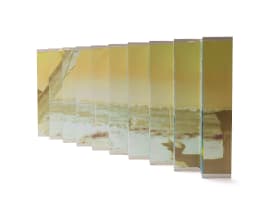 Martine Jackson; Glass Cabinet + Landscape