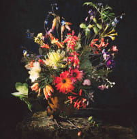 Andrew Putter; Detail of a Sketch for Flora Capensis