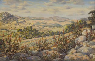 Erich Mayer; Looking East from Misty Heights, Zoutpansberg