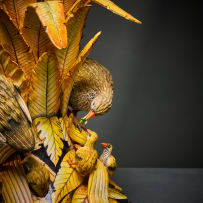 Ardmore Ceramic Studio; Francolin and chicks vase