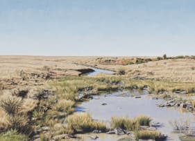 Sipho Ndlovu; Deneysville, Free State