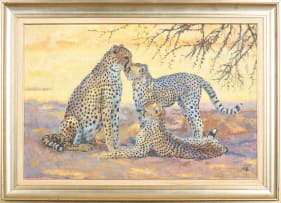 Zakkie Eloff; Cheetahs