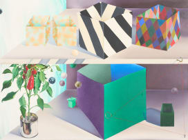 Michael Pettit; Boxes and a Chilli Plant