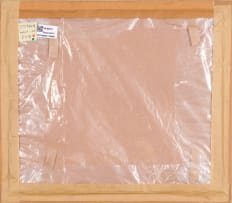 Christo Coetzee; Abstract Fish