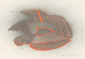 Christo Coetzee; Abstract Fish