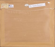 Hennie Niemann Jnr; Elephants