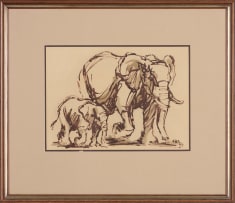 Hennie Niemann Jnr; Elephants