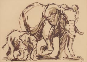 Hennie Niemann Jnr; Elephants