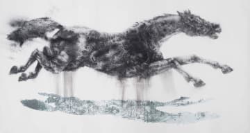 Diane Victor; Rain Horse