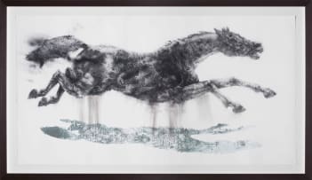 Diane Victor; Rain Horse