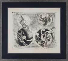 Braam Kruger; Perpetual Motion Wheel