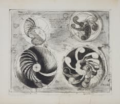 Braam Kruger; Perpetual Motion Wheel