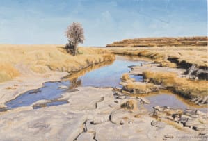 Sipho Ndlovu; Drying River