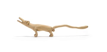 Phillip Rikhotso; Dog with Long Tail