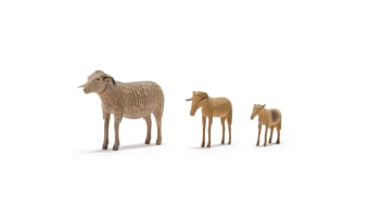 Julius Mfethe; Family of Sheep, three