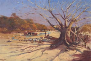 Adriaan Boshoff; Cattle in Riverbed