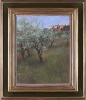 John Meyer; Olive Trees, Firenzuolo