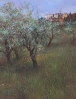John Meyer; Olive Trees, Firenzuolo