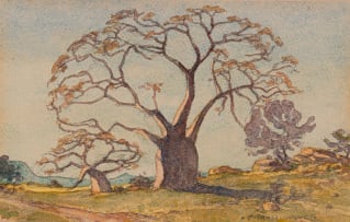 Erich Mayer; Landscape with Baobab Trees