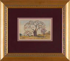 Erich Mayer; Landscape with Baobab Trees