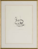 Andrew Verster; Schermuly's Pears, from Pages series