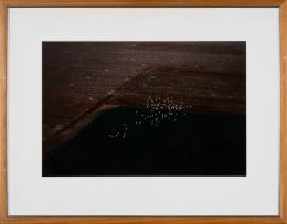 Herman Potgieter; Aerial View of a Flock of Birds over a Farm Landscape